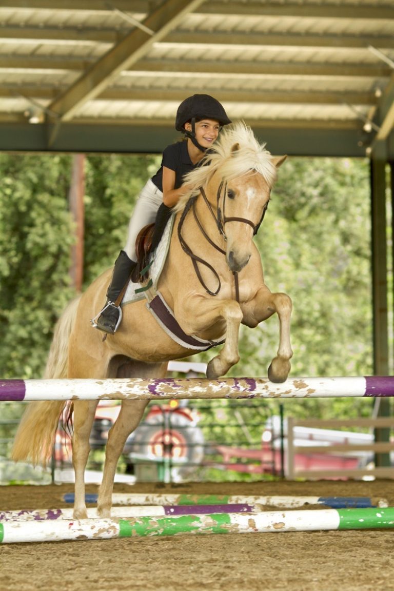 Lessons Graceland Equestrian Center